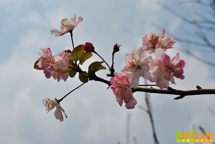 nEO_IMG_照片 160.jpg