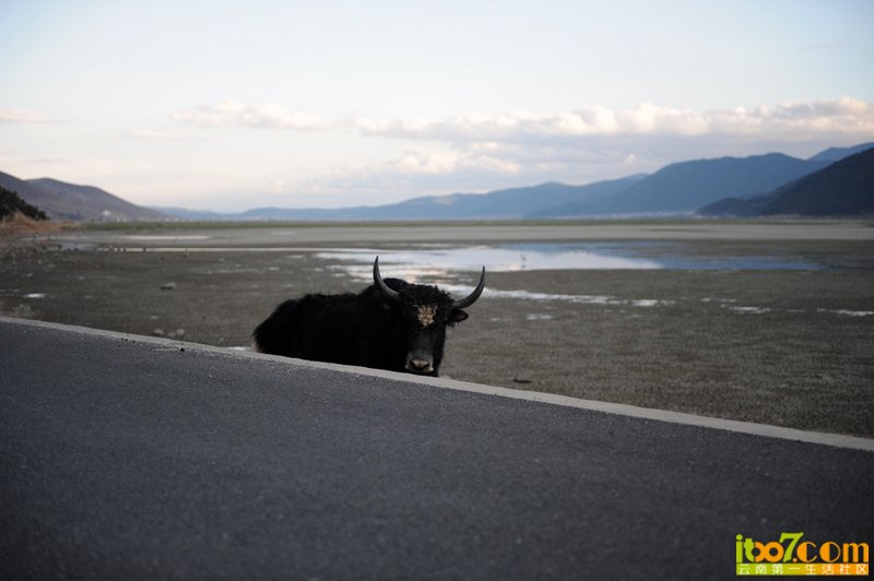 20120716_13271_21d4964f6d00c7c60944ZYPrw4oxtQB3.jpg