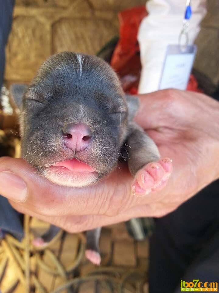 FQ%MS%S(@QD])A_L~WM)IVF.jpg