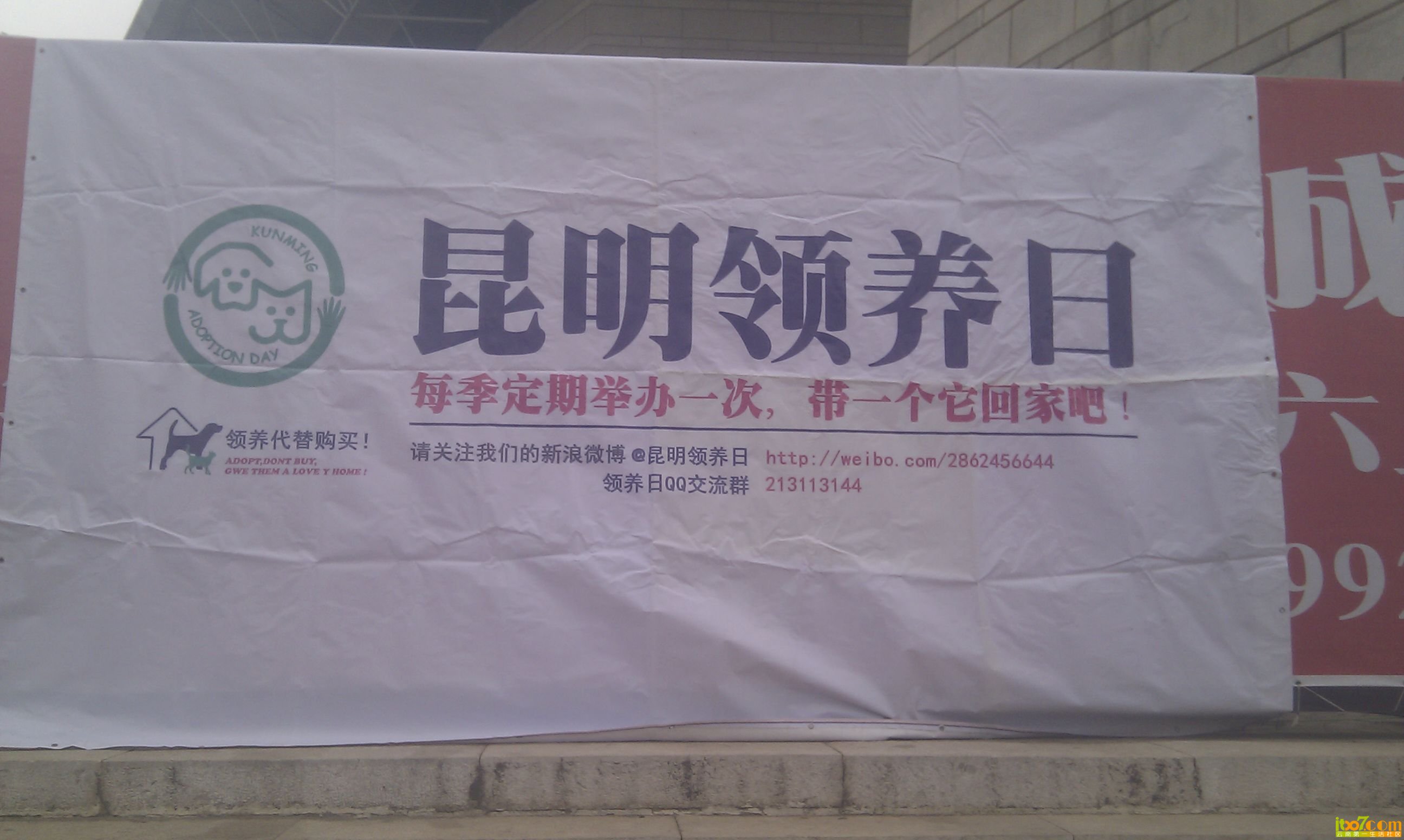 IMG_20130303_121447.jpg
