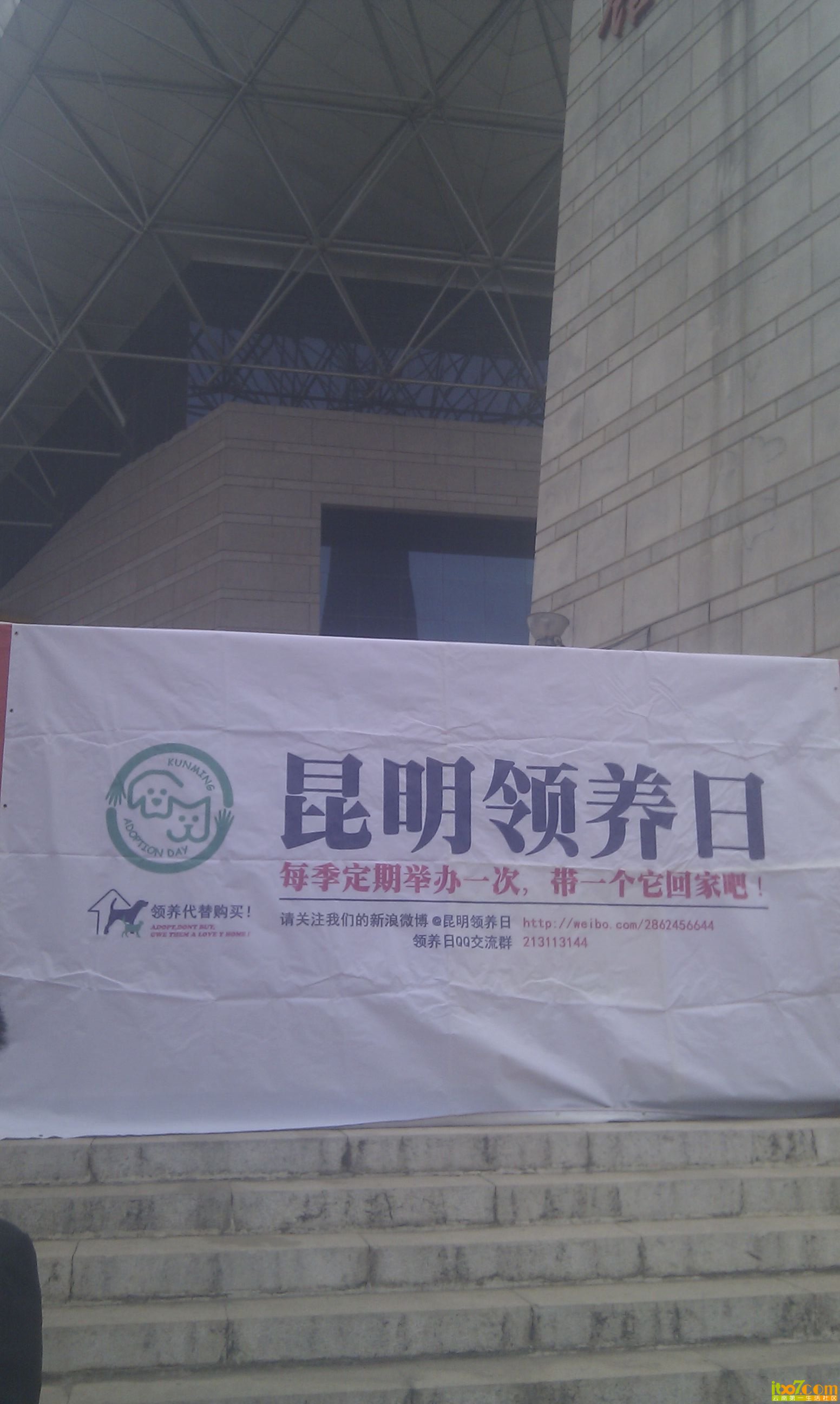IMG_20130303_121458.jpg