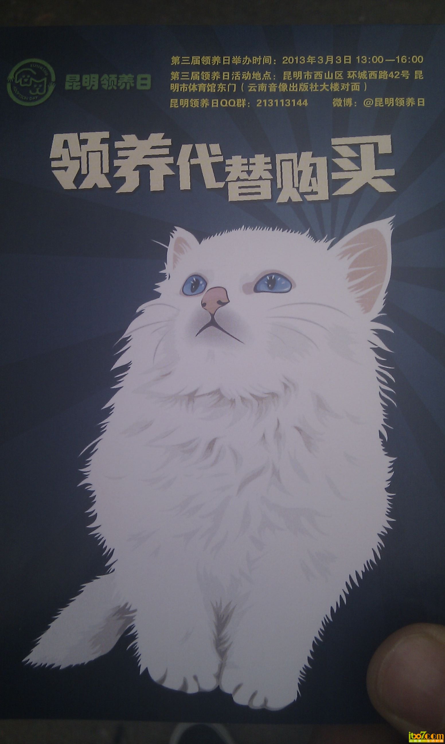 IMG_20130303_123209.jpg