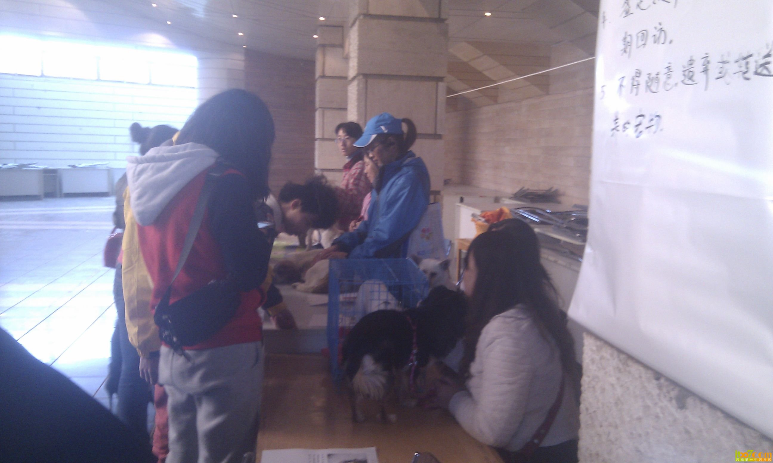 IMG_20130303_140749.jpg