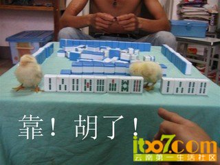 未命名.jpg