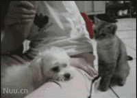 T1TbwCXlhcXXXXXXXX_!!681399680-1-pix.gif