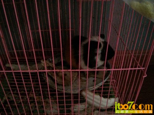 IMG20130330145204.jpg