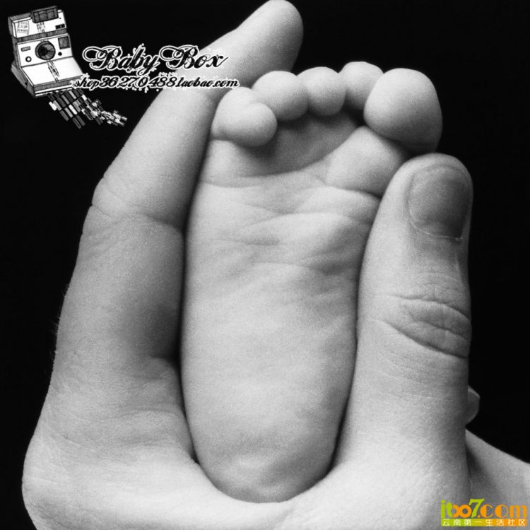 154752rg33oegi8ccc53pt.jpg.thumb.jpg