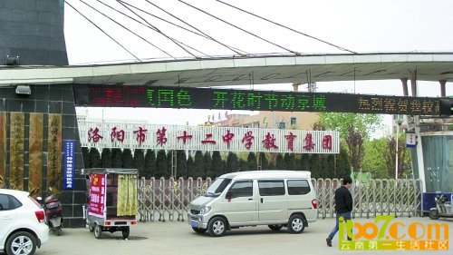 84541149.jpg