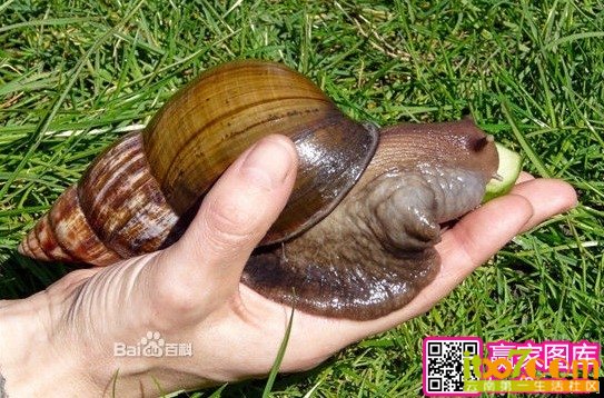 20130416035602483.jpg