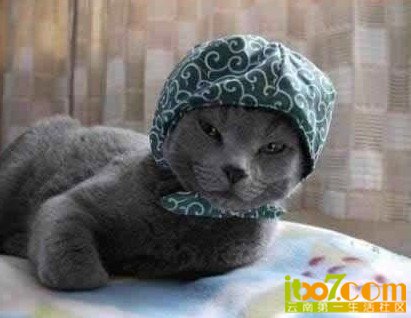 T7}2QVTGGA`FB{U22UMG41T.jpg