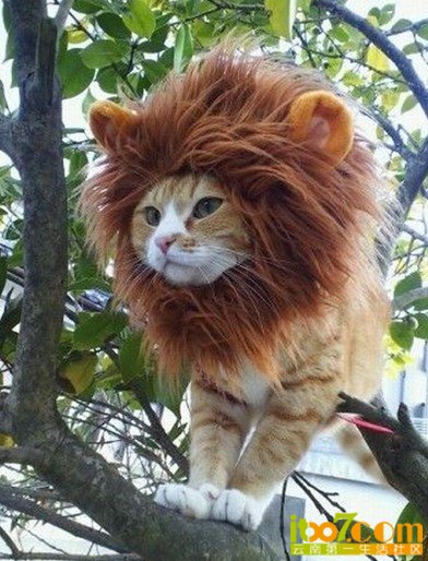 []}SV0MI5UMW}T4S3B~D34E.jpg