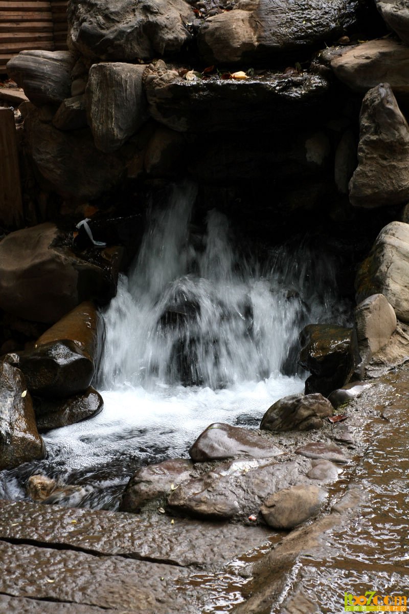 IMG_0010.jpg
