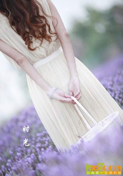_MG_7951.jpg