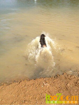 IMG20130425210707.jpg