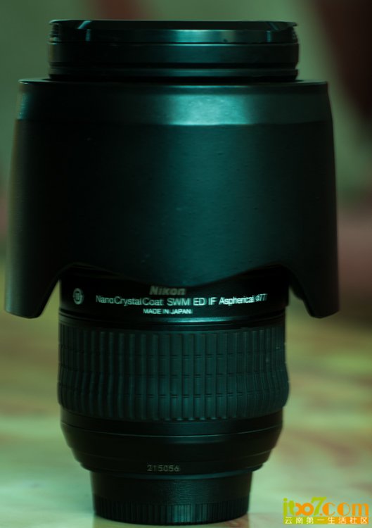 DSC_3763.jpg