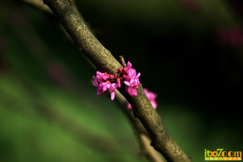ec04551fac5d274cb3b9ffe15f4ed19c.jpg