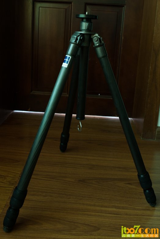DSC_3775.jpg