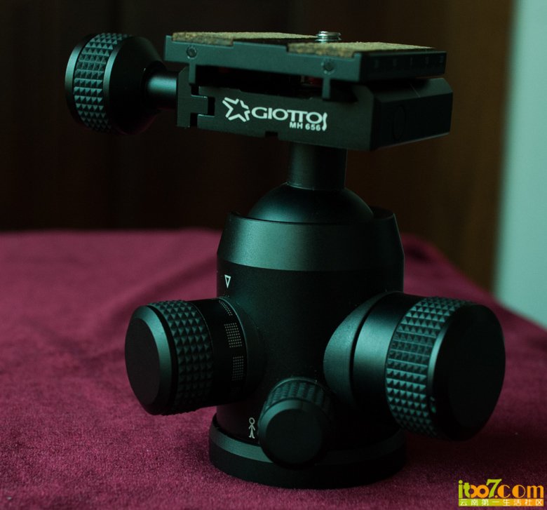 DSC_3785.jpg