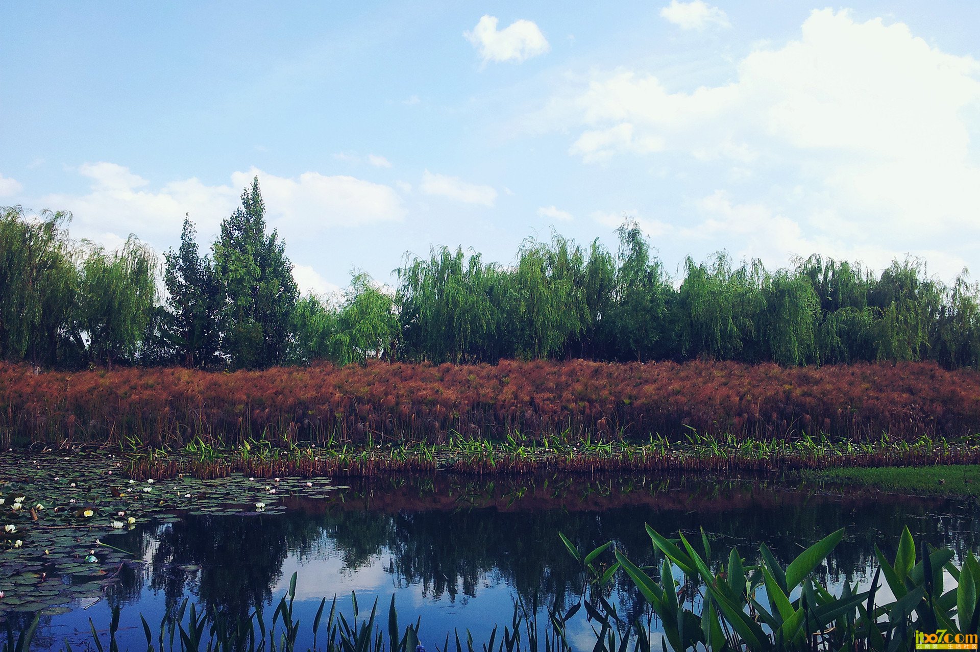 20130506_161811_副本.jpg
