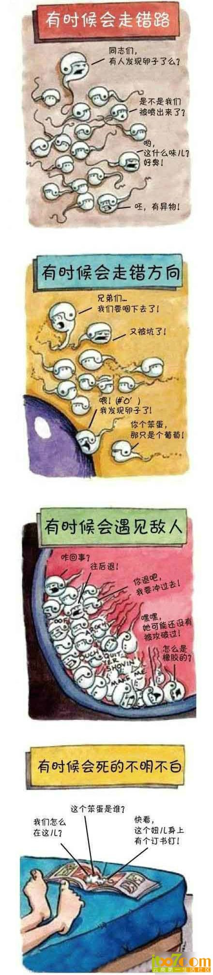2076383555.jpeg