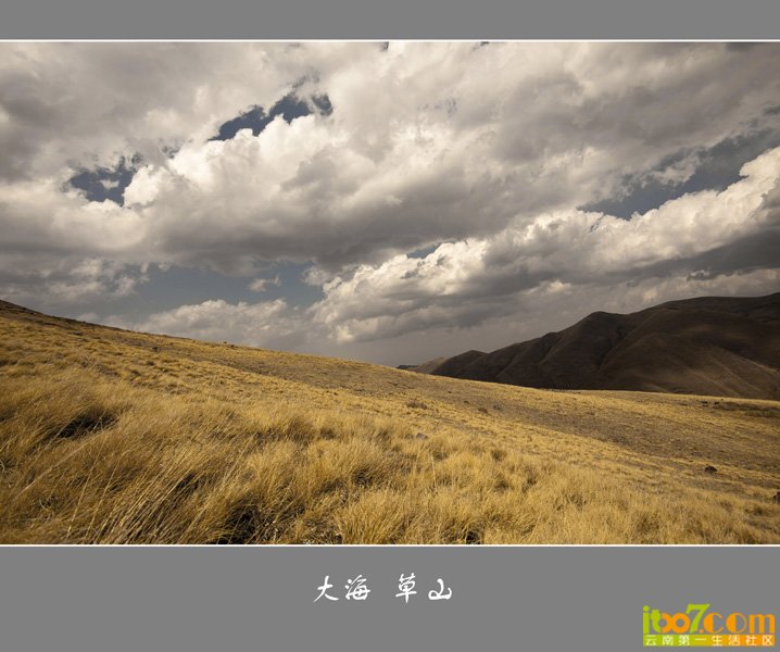 _MG_7434.jpg