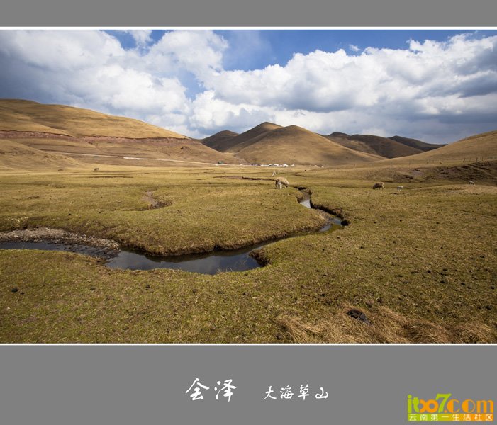 _MG_7473.jpg