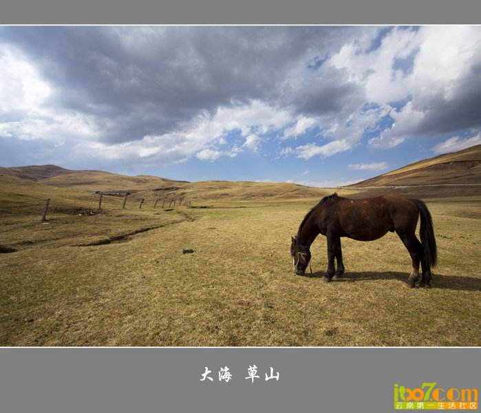 _MG_7489.jpg
