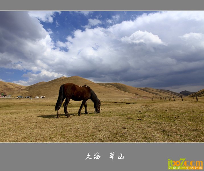 _MG_7504.jpg