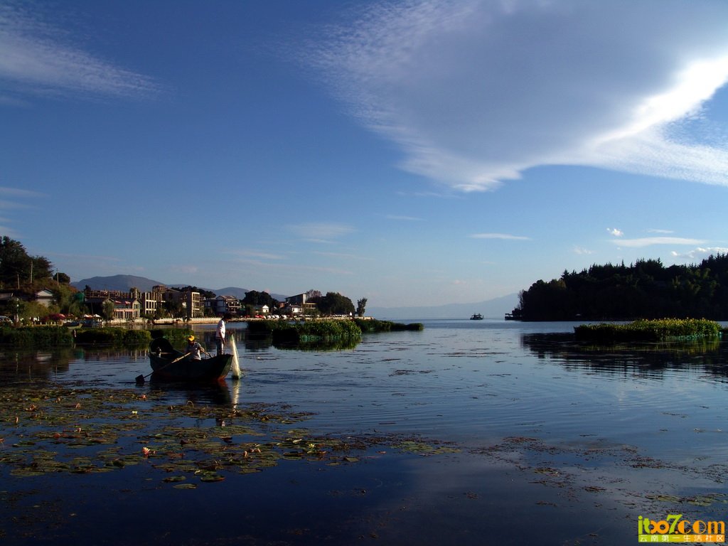 DSC00653-1.jpg