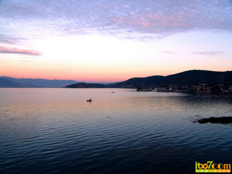 DSC00501-1.jpg
