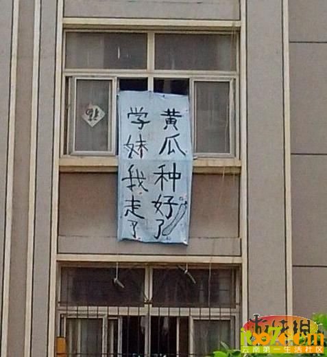 584_JT40.jpg