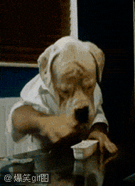 79a00895jw1dszy6cmp0bg.gif