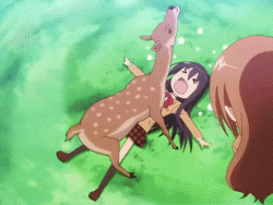 96dda144ad3459820c8a60260cf431adcbef8406.gif