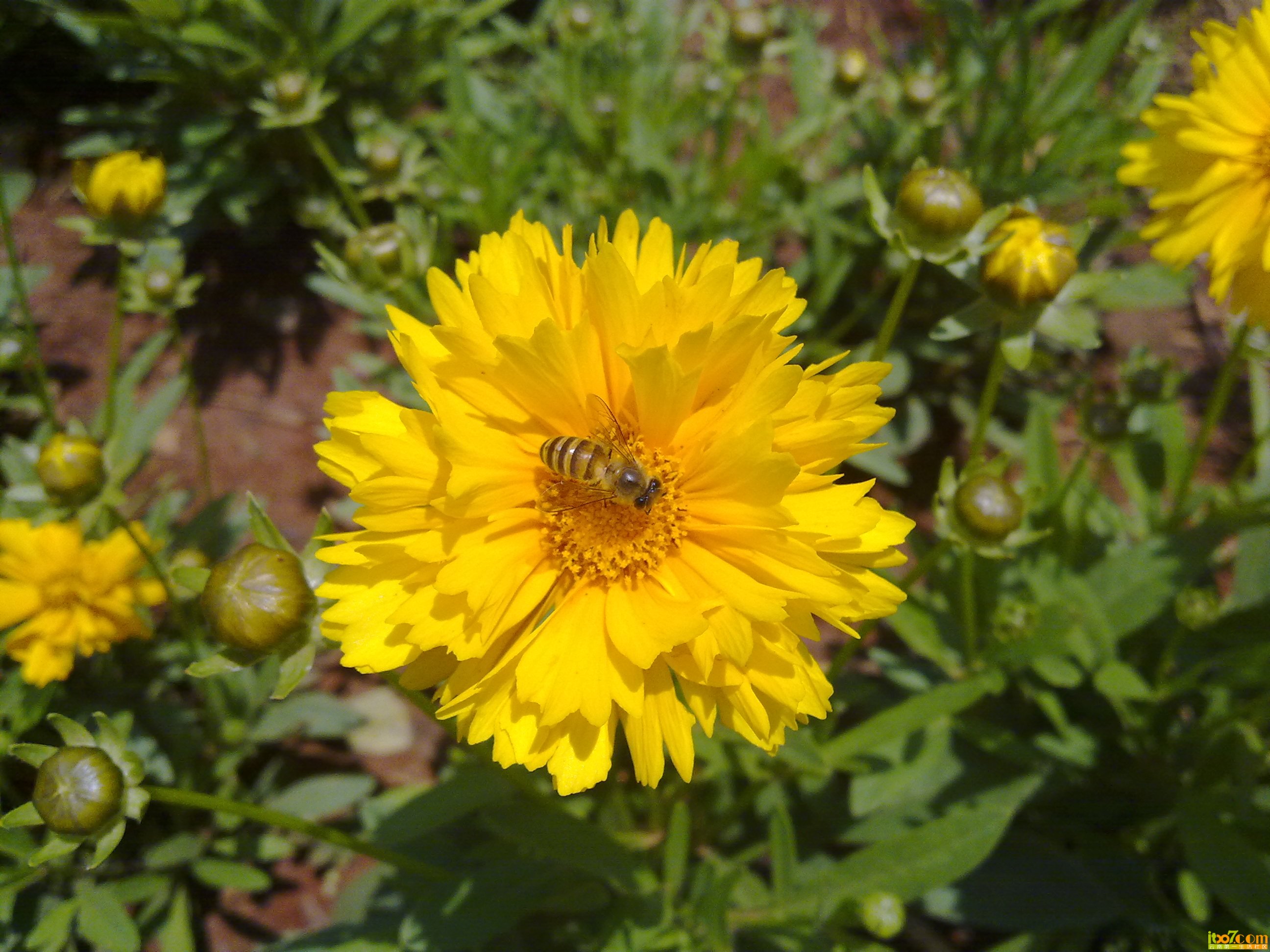 201305243393.jpg