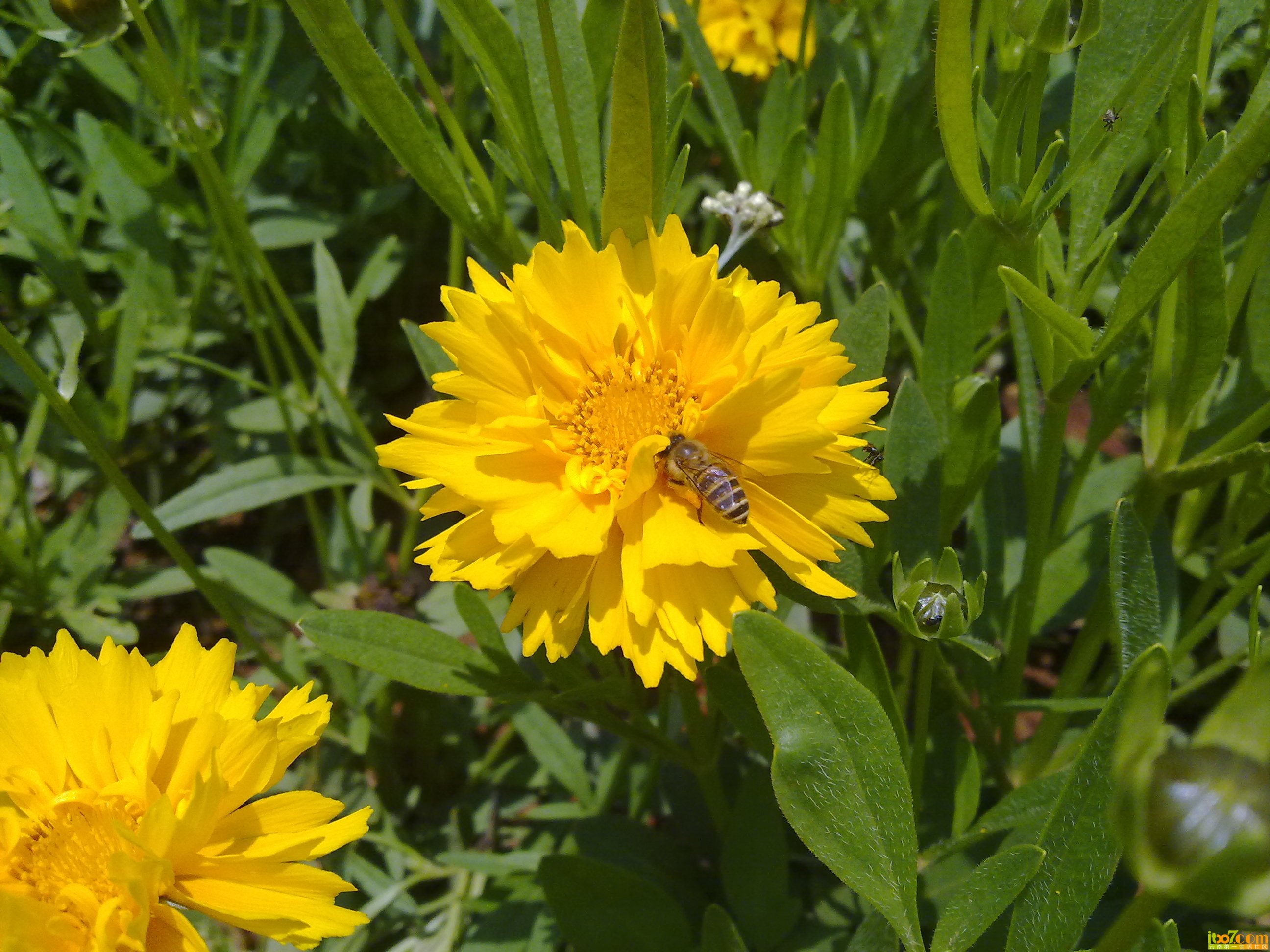 201305243409.jpg