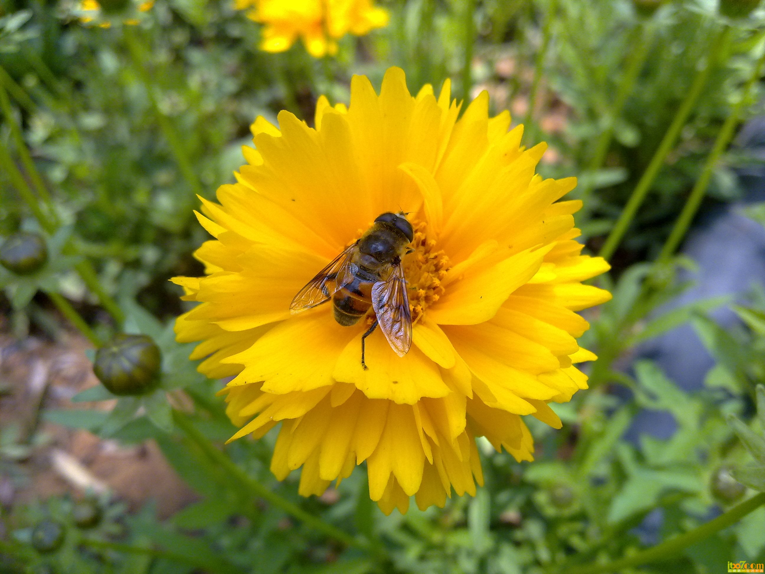 201305243416.jpg