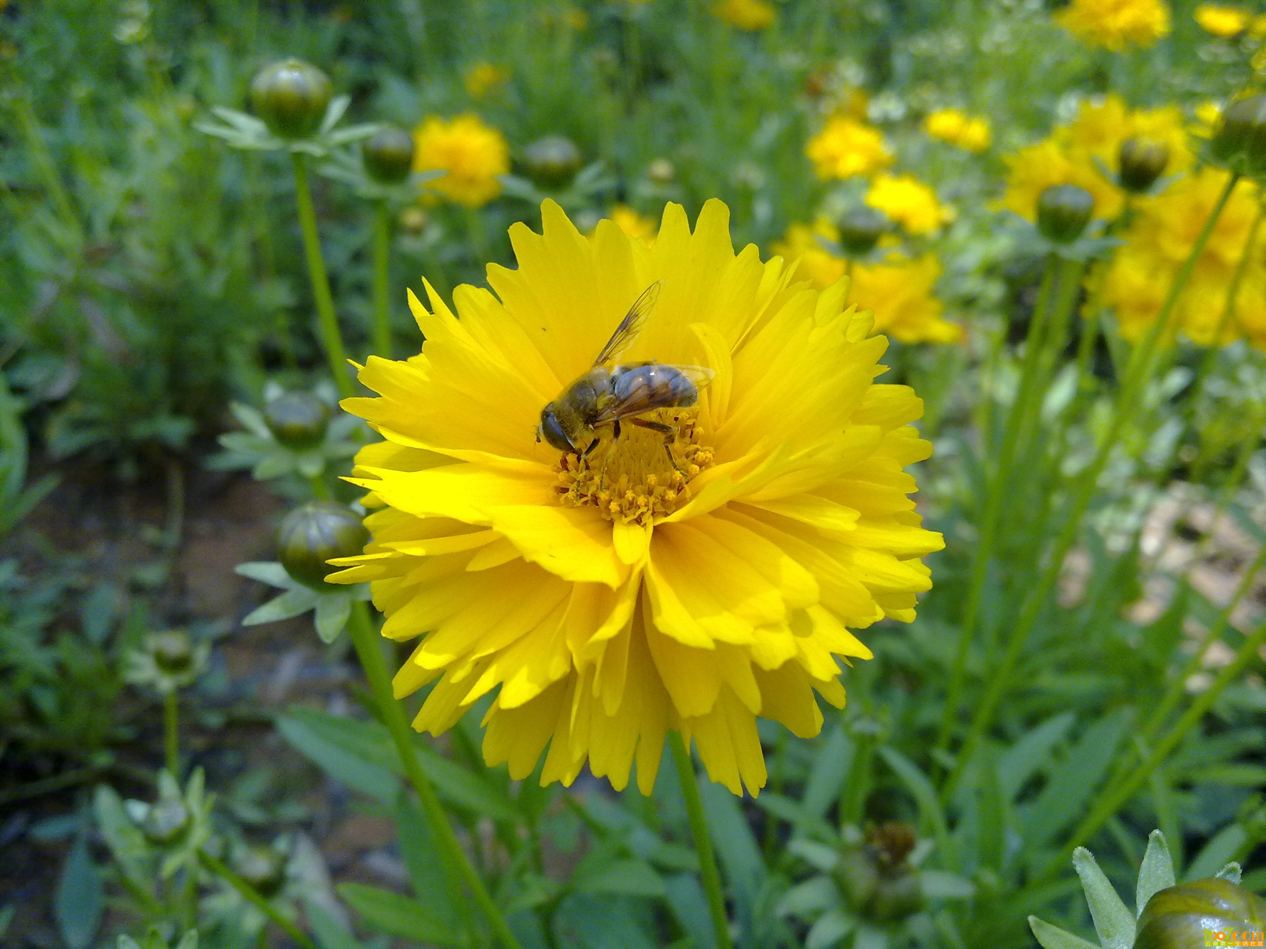 201305243419.jpg
