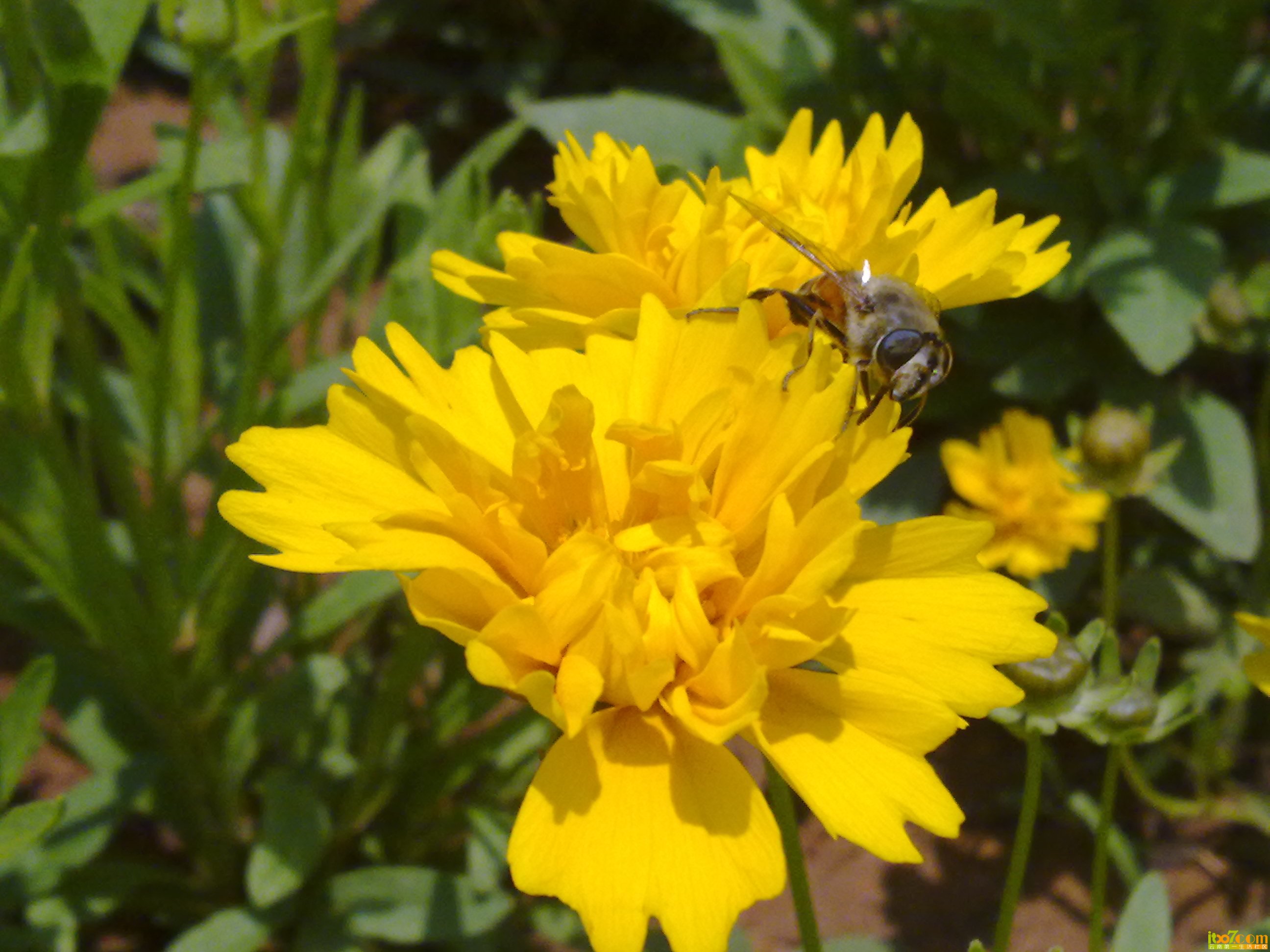 201305243427.jpg