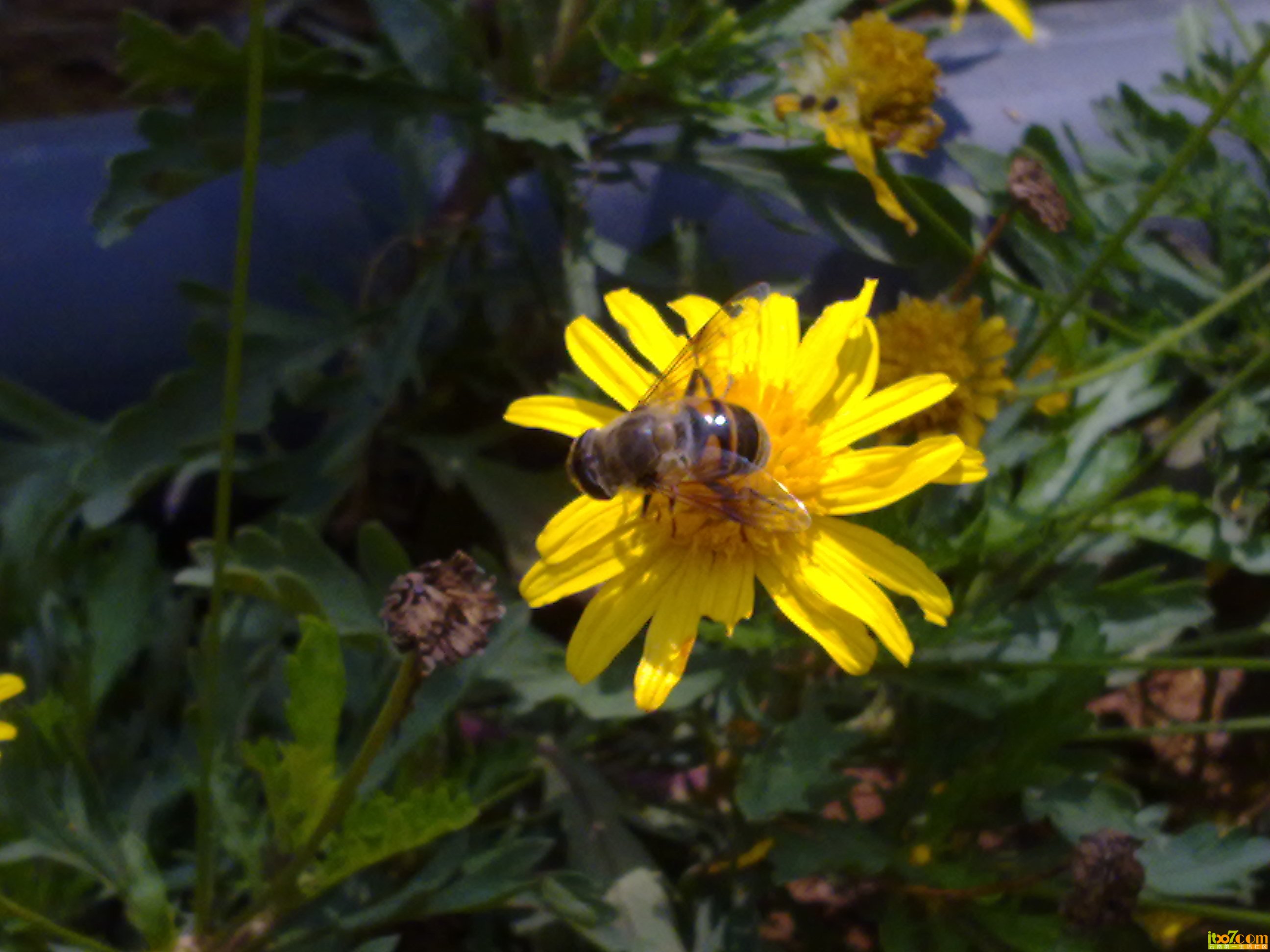 201305243429.jpg