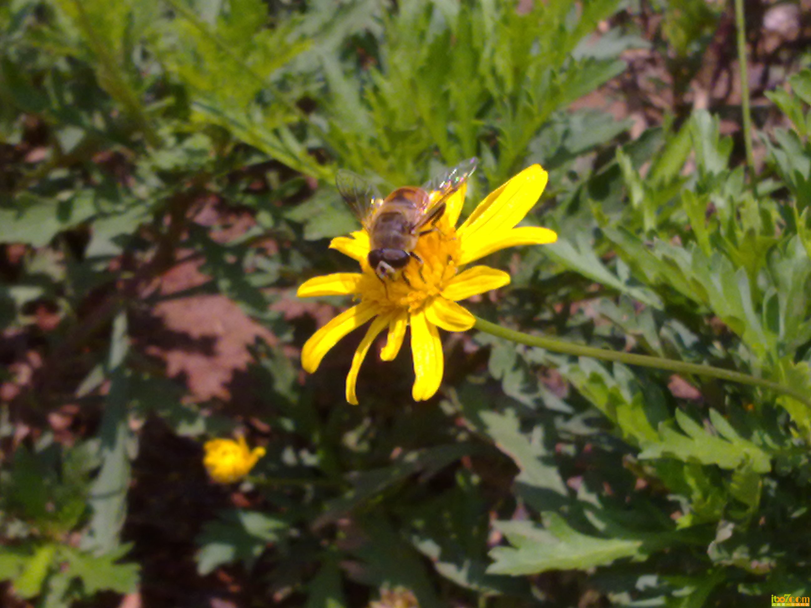 201305243430.jpg
