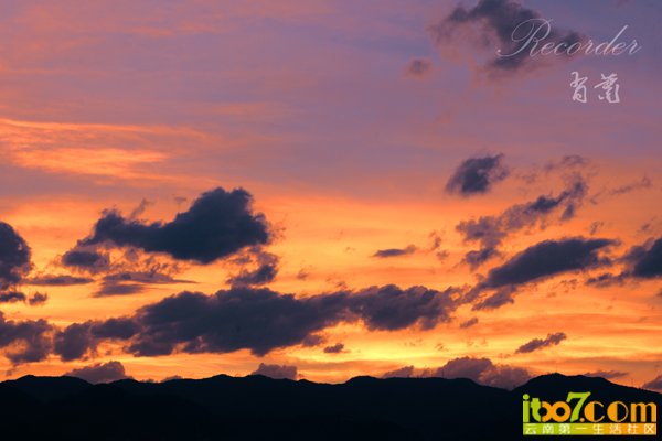 DSC_6395.jpg