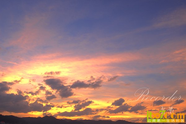 DSC_6391.jpg