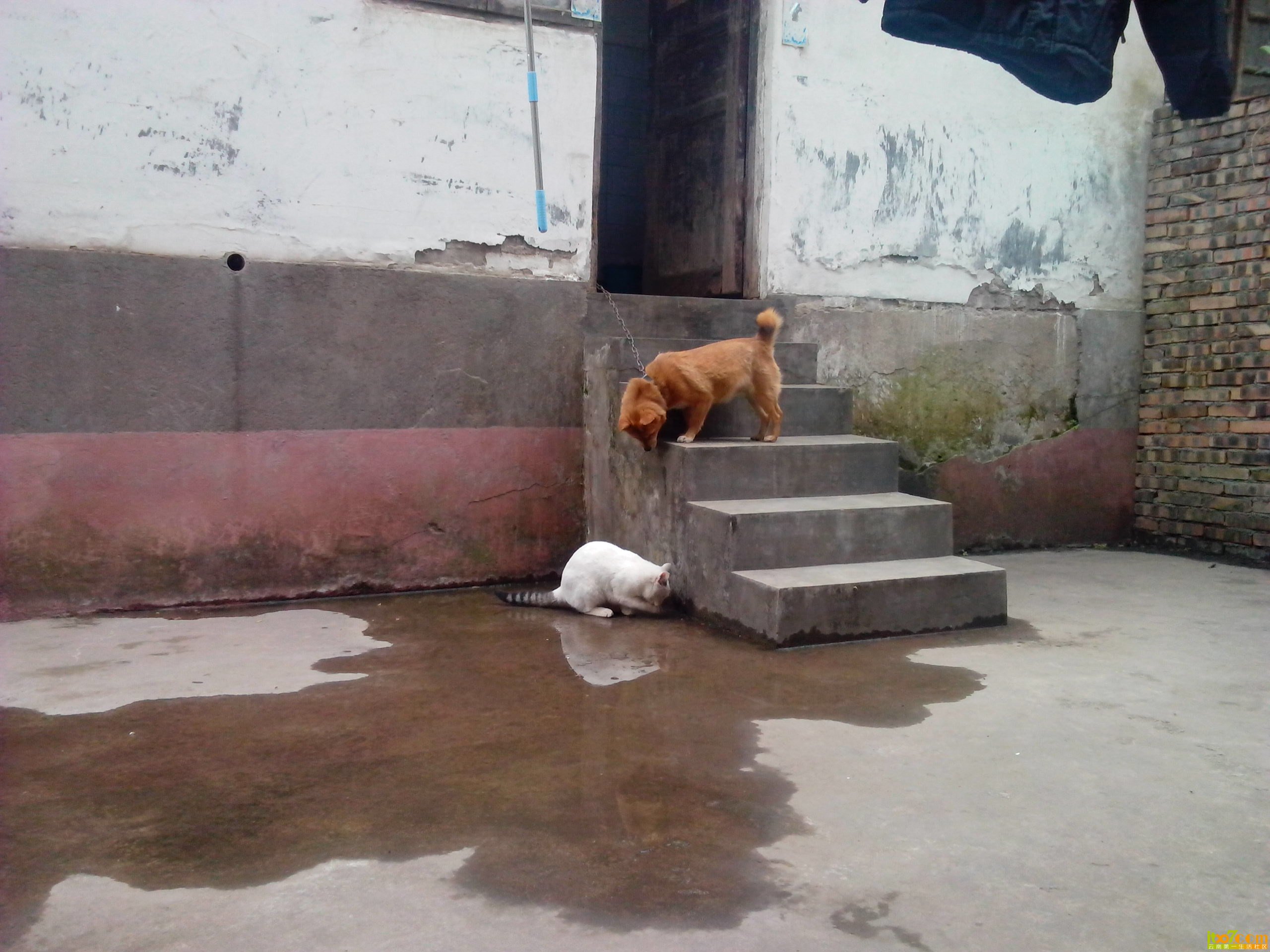IMG_20130327_150852.jpg
