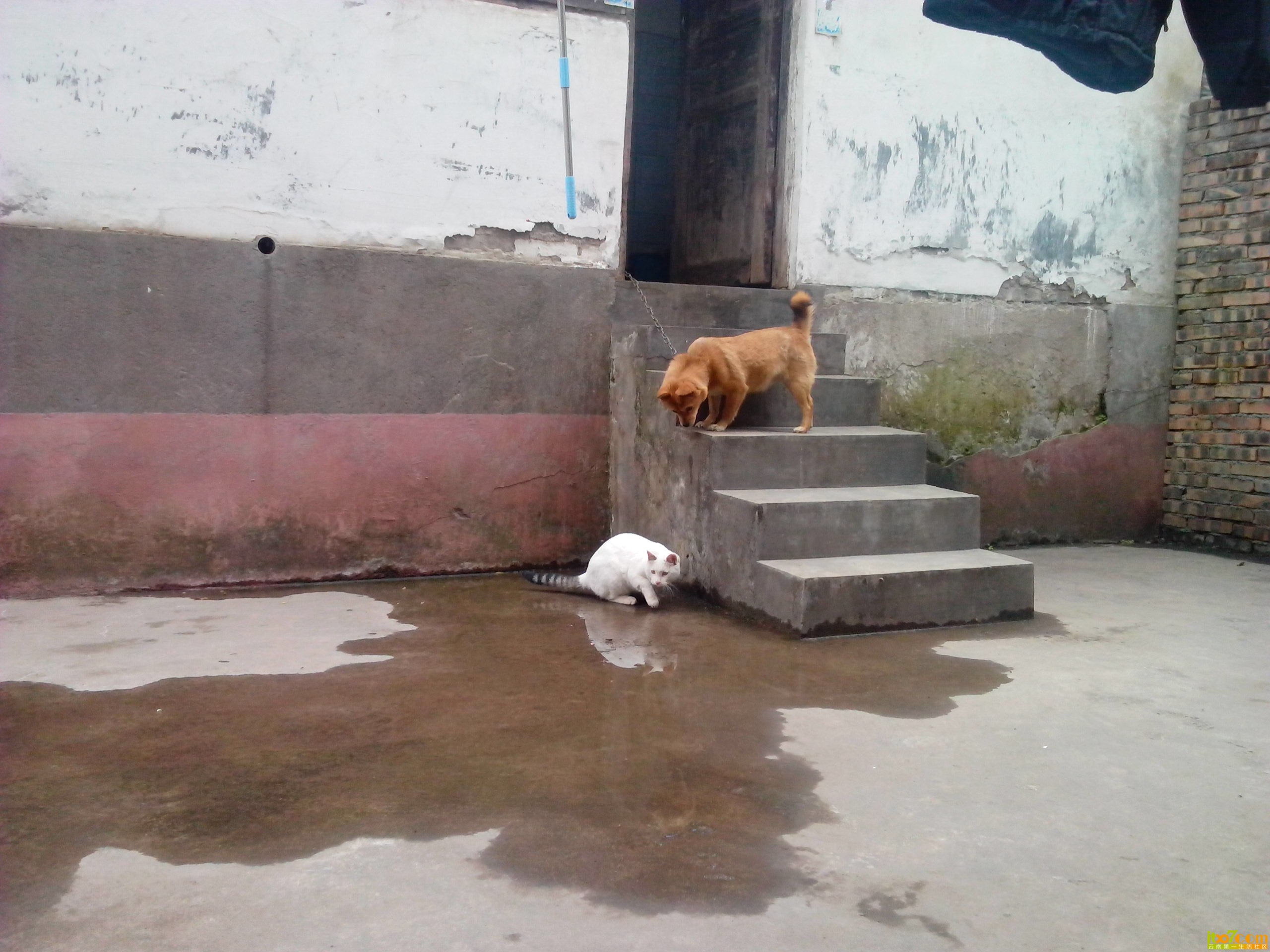 IMG_20130327_150856.jpg