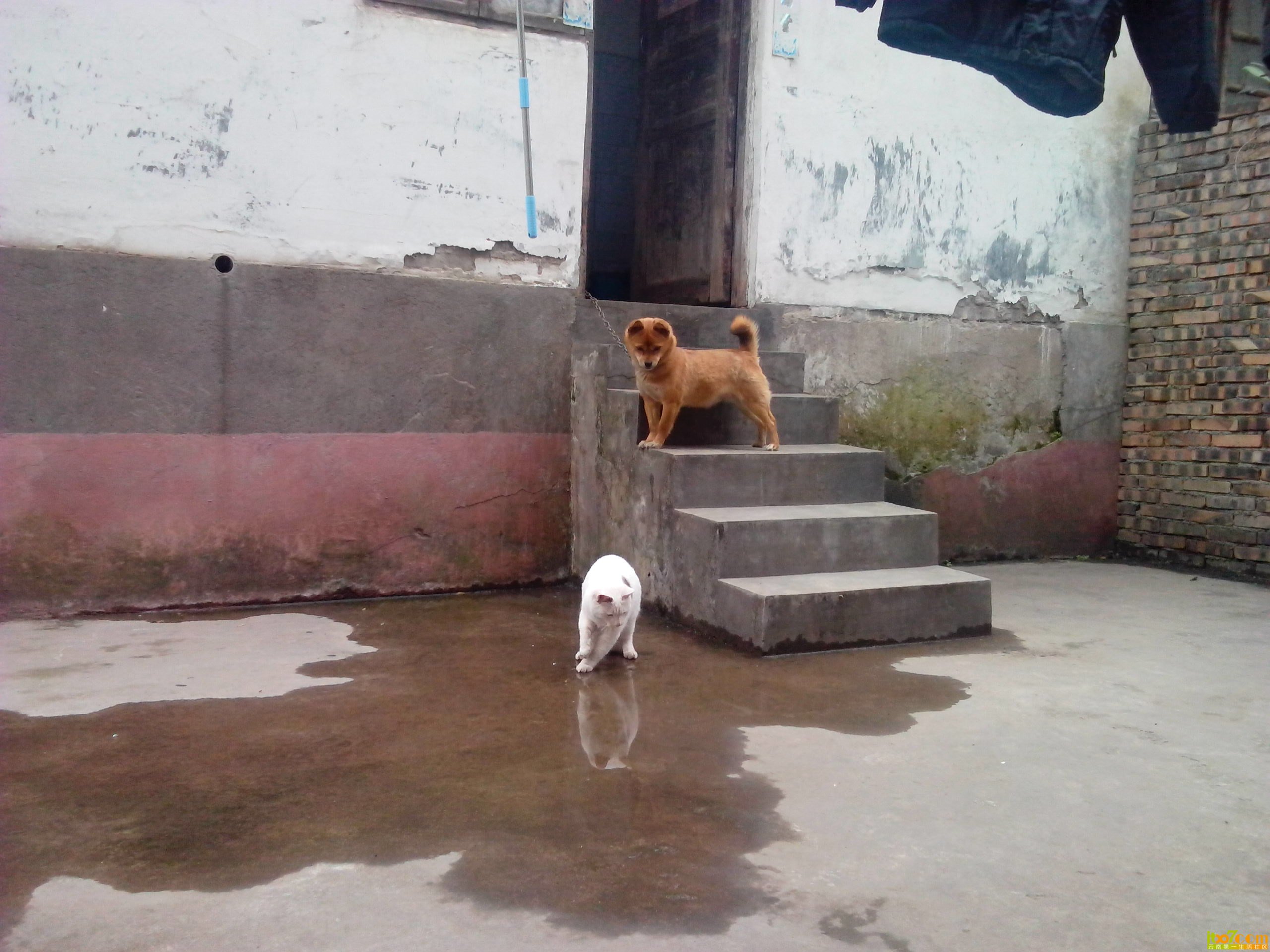 IMG_20130327_150904.jpg