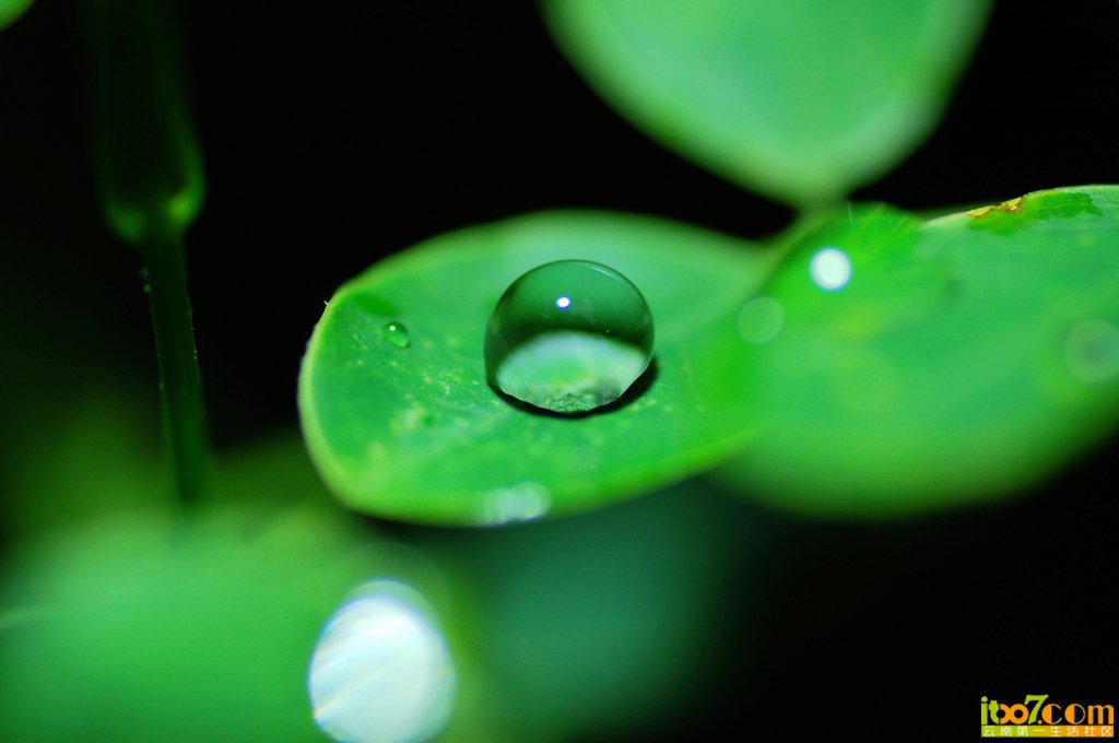 nEO_IMG_DSC_8665.jpg