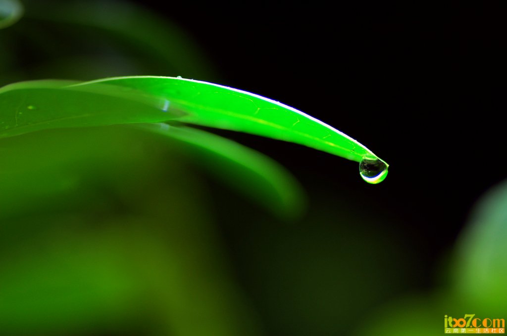 nEO_IMG_DSC_8683.jpg