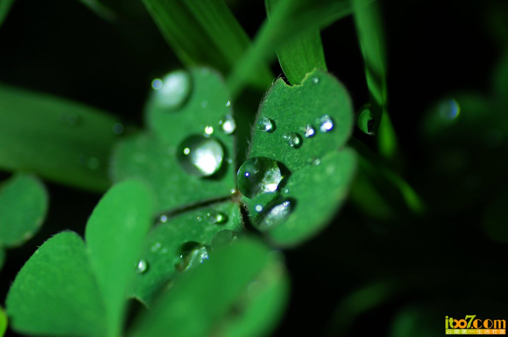nEO_IMG_DSC_8692.jpg