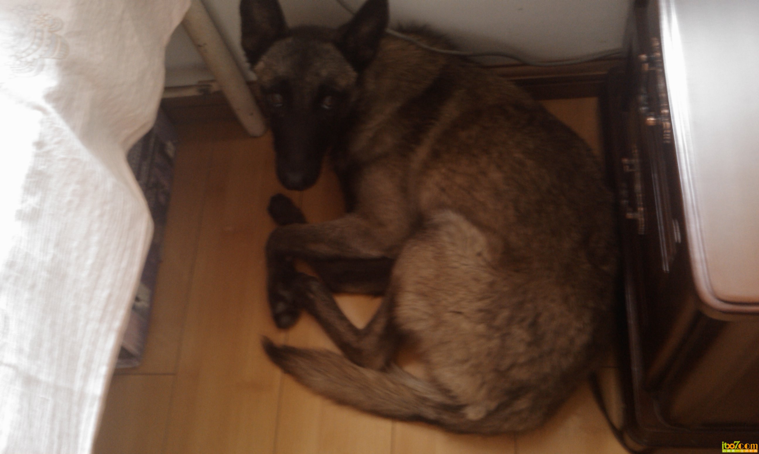 IMAG0056.jpg