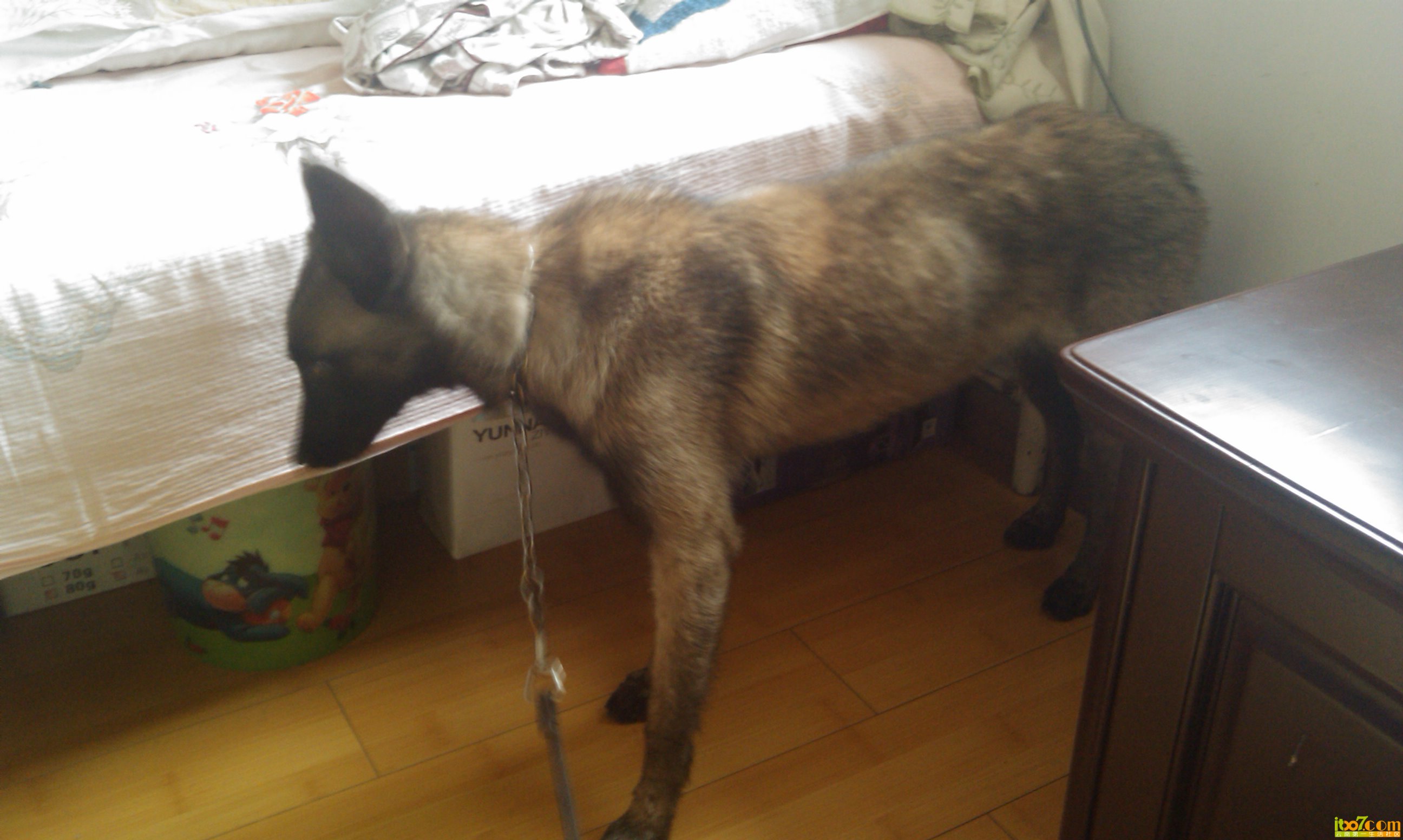 IMAG0047.jpg